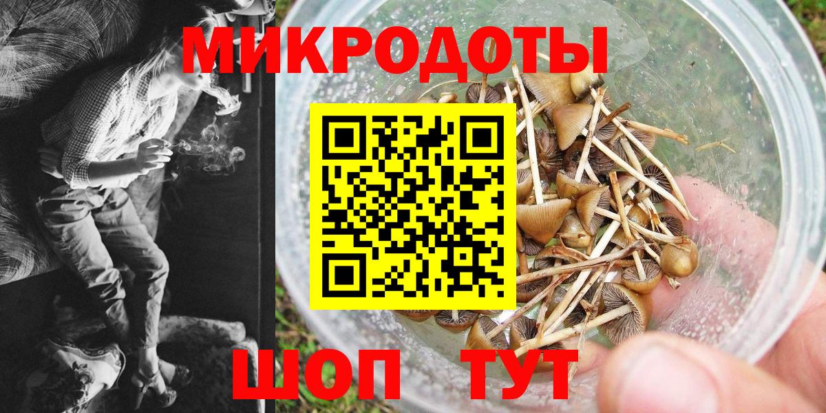 Псилоцибиновые грибы Cubensis  Вход с VPN  Псилоцибиновые грибы мухоморы  Малоярославец 