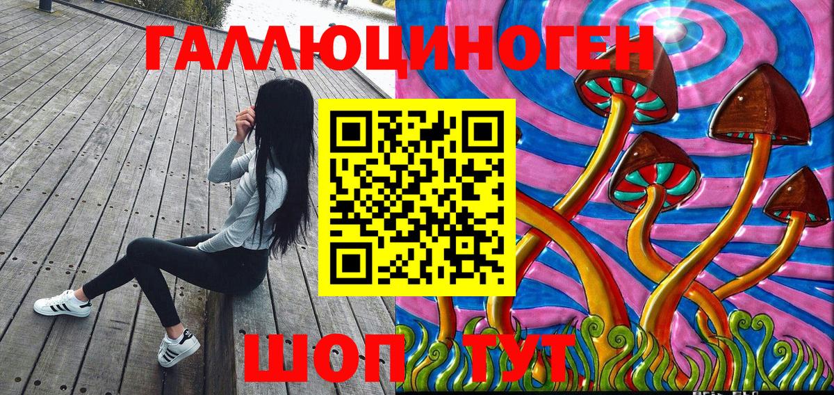 Псилоцибиновые грибы Psilocybe Малоярославец