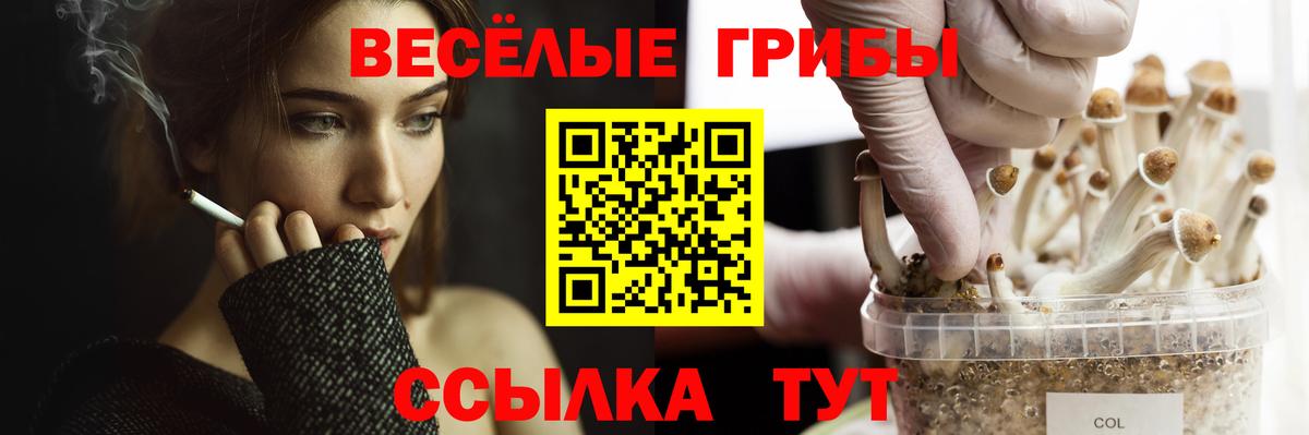 Галлюциногенные грибы Magic Shrooms  Галлюциногенные грибы Psilocybine cubensis  Малоярославец 